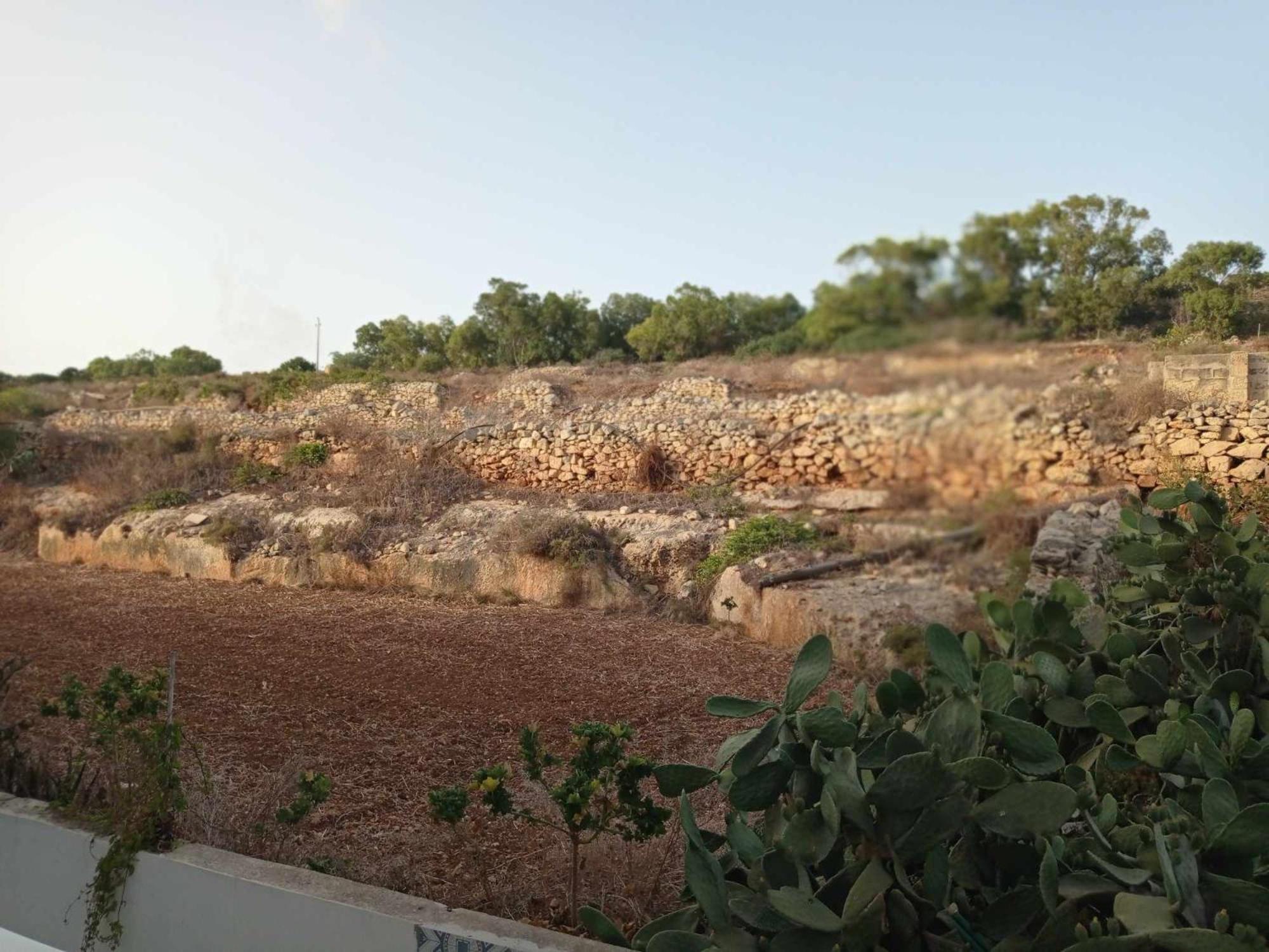 דירות מרססקלה Poppy Court מראה חיצוני תמונה